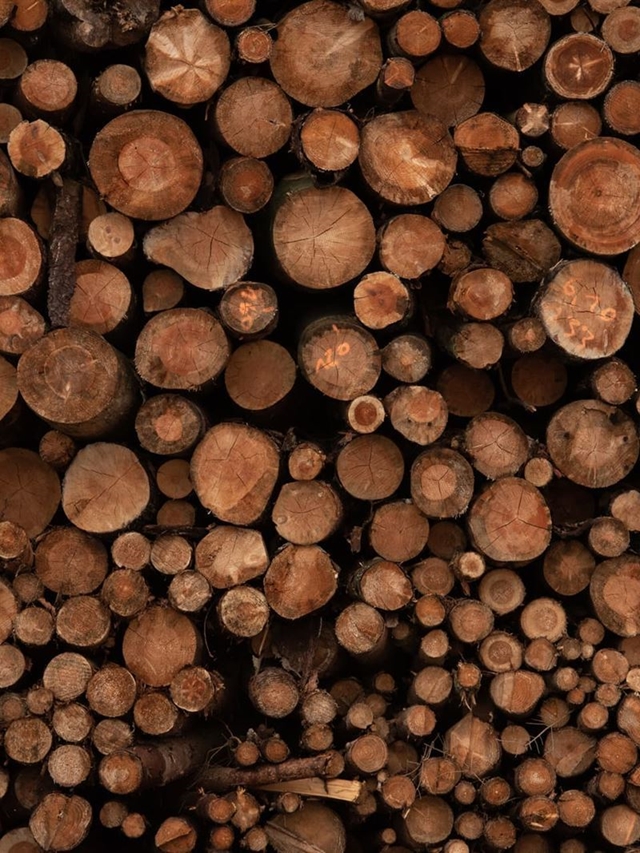 ¡Madera de Galicia en solo unos clicks!