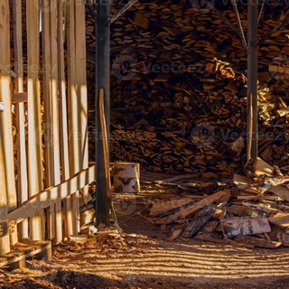 Palet de leña seca - Imagen 1