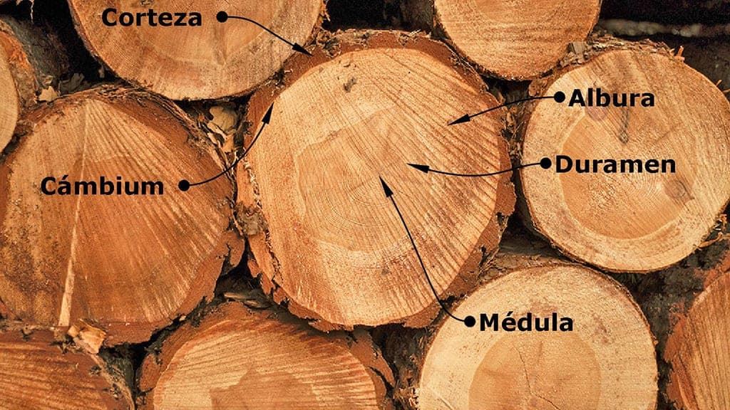 Placas blindadas (en desarrollo) - Imagen 2