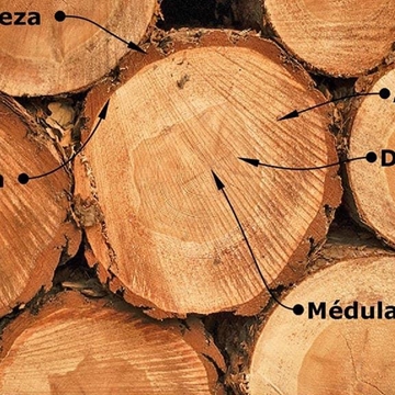 Placas blindadas (en desarrollo) - Imagen 2