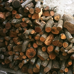 Tractor leña Boiro - Imagen 2